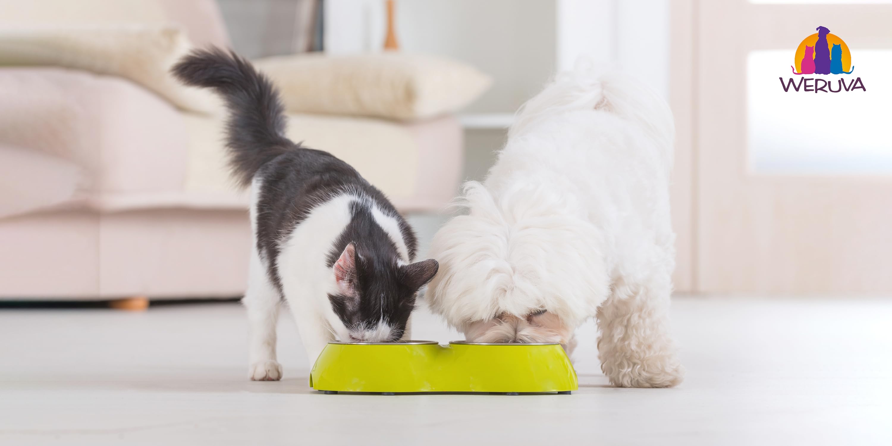 Gourmet Nutrition Your Pets Crave